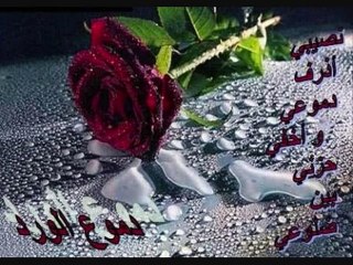 البارحه - عبدالكريم عبدالقادر