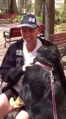 Ce chien retrouve son maître absent pendant longtemps à cause de son cancer...  Trop émouvant