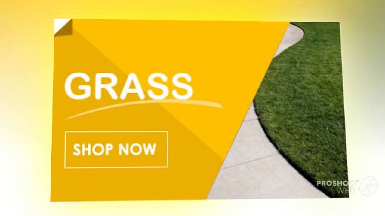 Artificial Grass North East