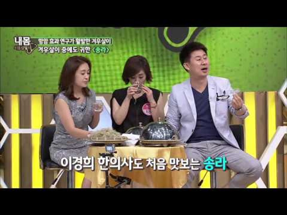 산삼보다 귀하다는 약초계의 천운 송라! [내 몸 사용 설명서] 65회 20150827