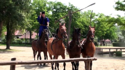 Day 6 - Eastern Europe Trip June 2014