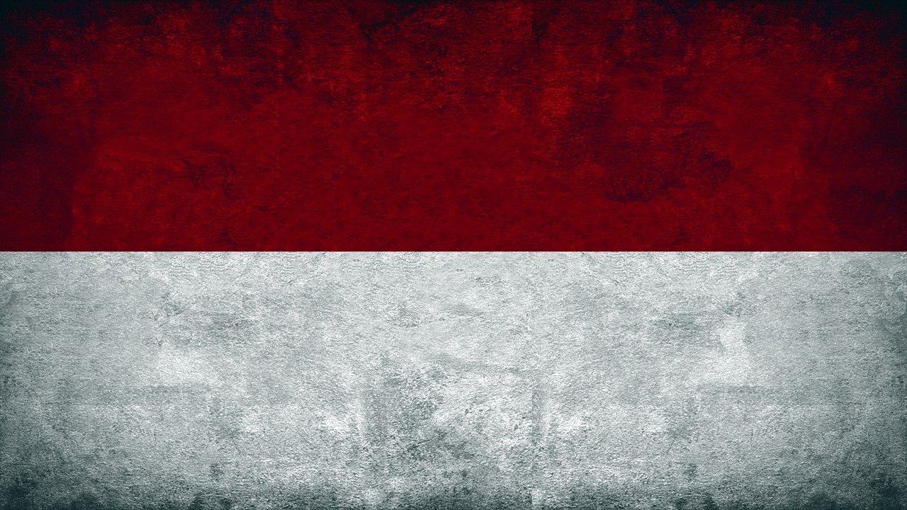 Phineas and Ferb : S'Winter Multilanguage - 37 languages (3/3)