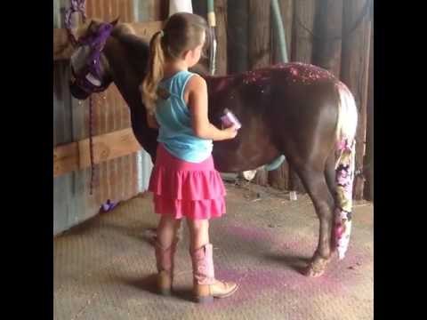 Young Girl Covers Her Pony in Pink Glitter