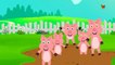 fünf kleine Schweinchen _ Bildungs-Video _ Anschauen und genießen-Dj8N8VLoeA0