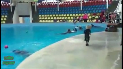Funny Animals Cats & Dogs, Amazing Pets Agility & Talent Compilation, Best #1 hour Cute Pet Moments_59