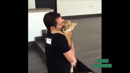 Funny Animals Cats & Dogs, Amazing Pets Agility & Talent Compilation, Best #1 hour Cute Pet Moments_68