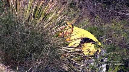 Motorcycle Crash - Rider Thrown Over Guardrail on Mulholland Hwy