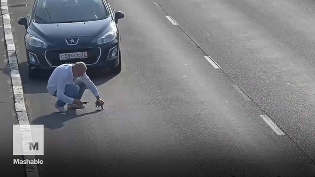 You will quietly freak out at video of tiny kitten defying death on busy highway