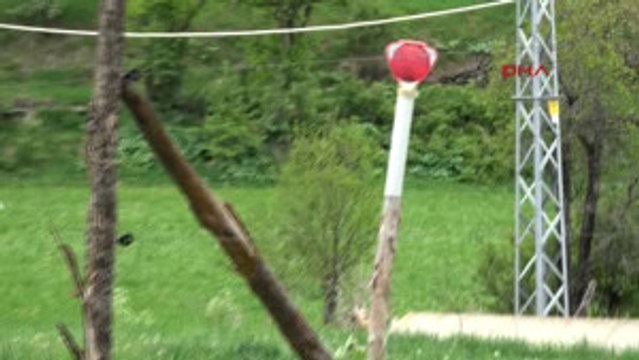 Bolu Arıcı Köylülerin Ayılarla Mücadelesi