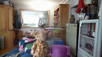 Wiwi muppetshowise "walking base blues" d'Yvan Guilini