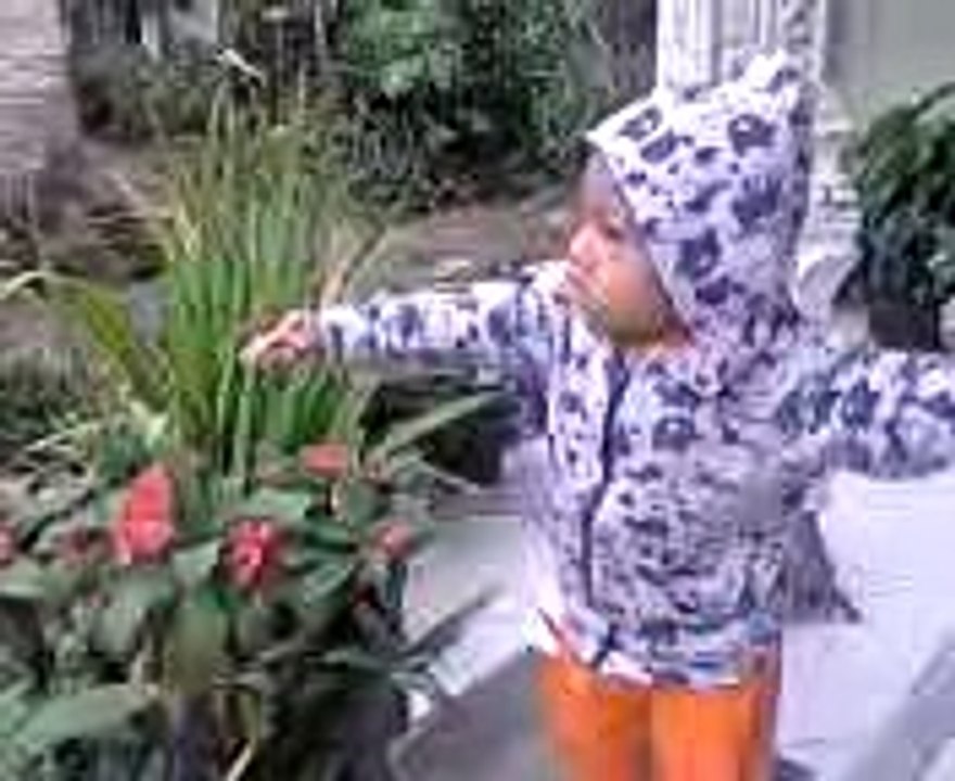 celoteh anak