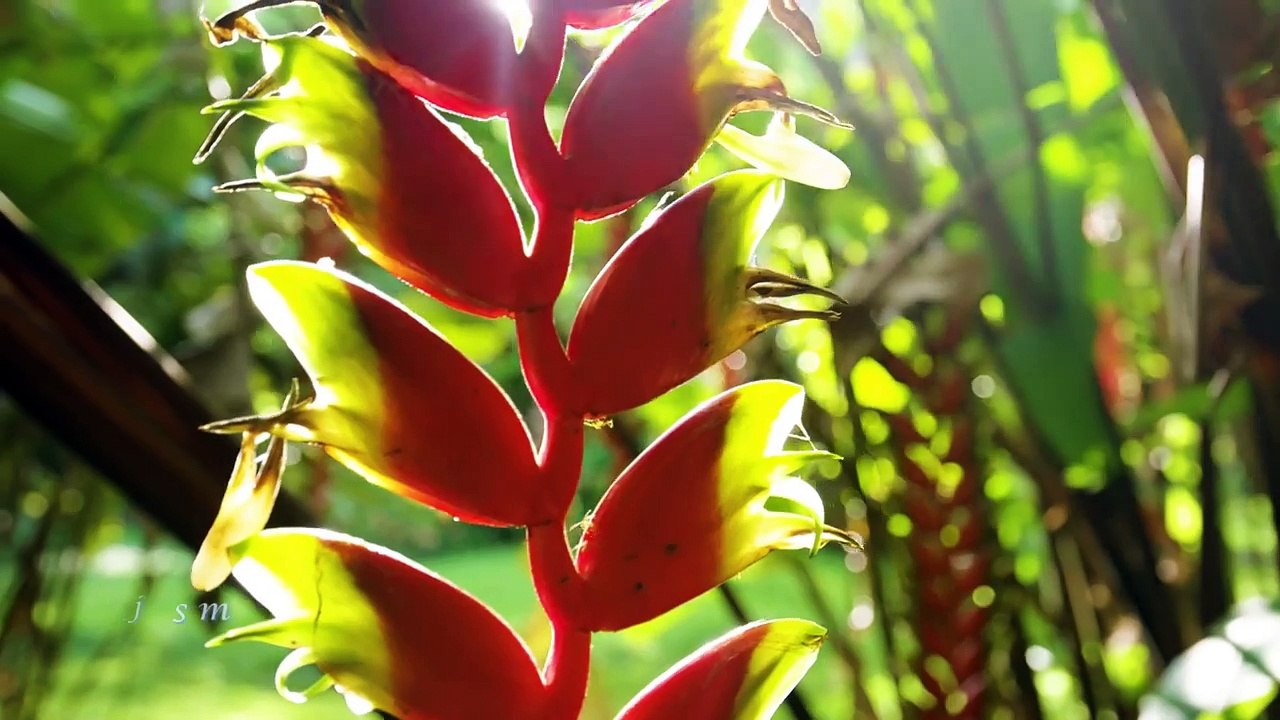 hit my heart-dmitry glushkov