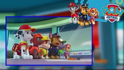 La Patrulla Canina en Español capitulos completos 2016 Temporada 2 Ep 145