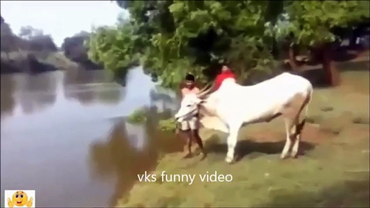 Whatsapp Funny Videos on 2016