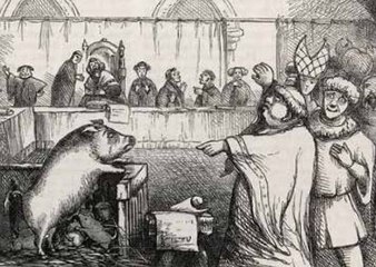 [L'animal et l'homme] Un procès très cochon !