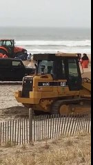 Daily Mail   A 30 foot whale has washed up on a beach in New York