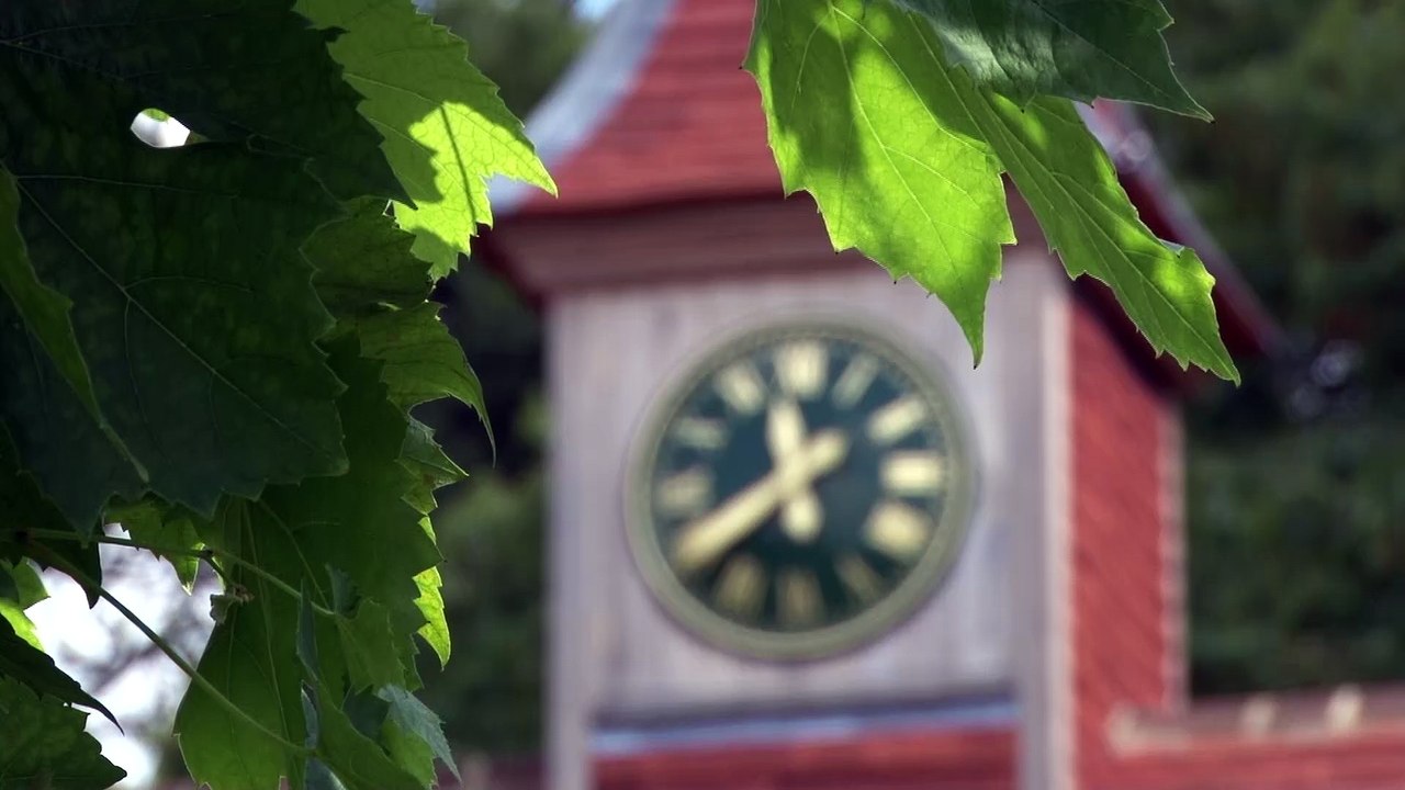 A Ferris wheel sometimes called a big wheel