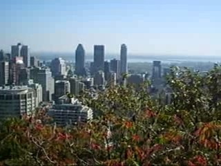 Montréal depuis le Mont-Royal