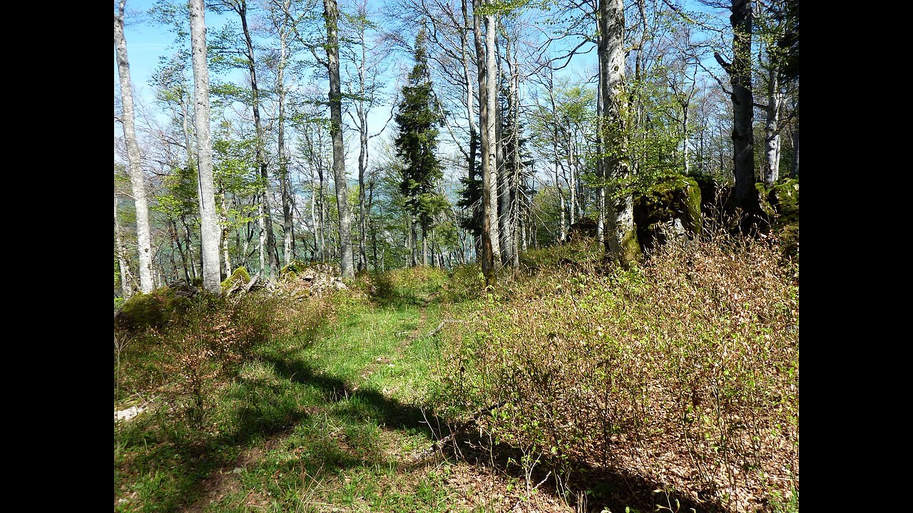 Trek des Rochers de la Truite (Vercors centre)