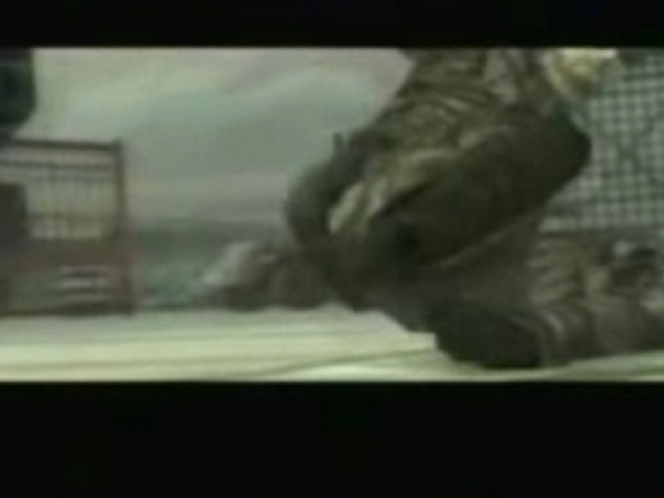 Metal Gear Solid Big Boss & Solid Snake