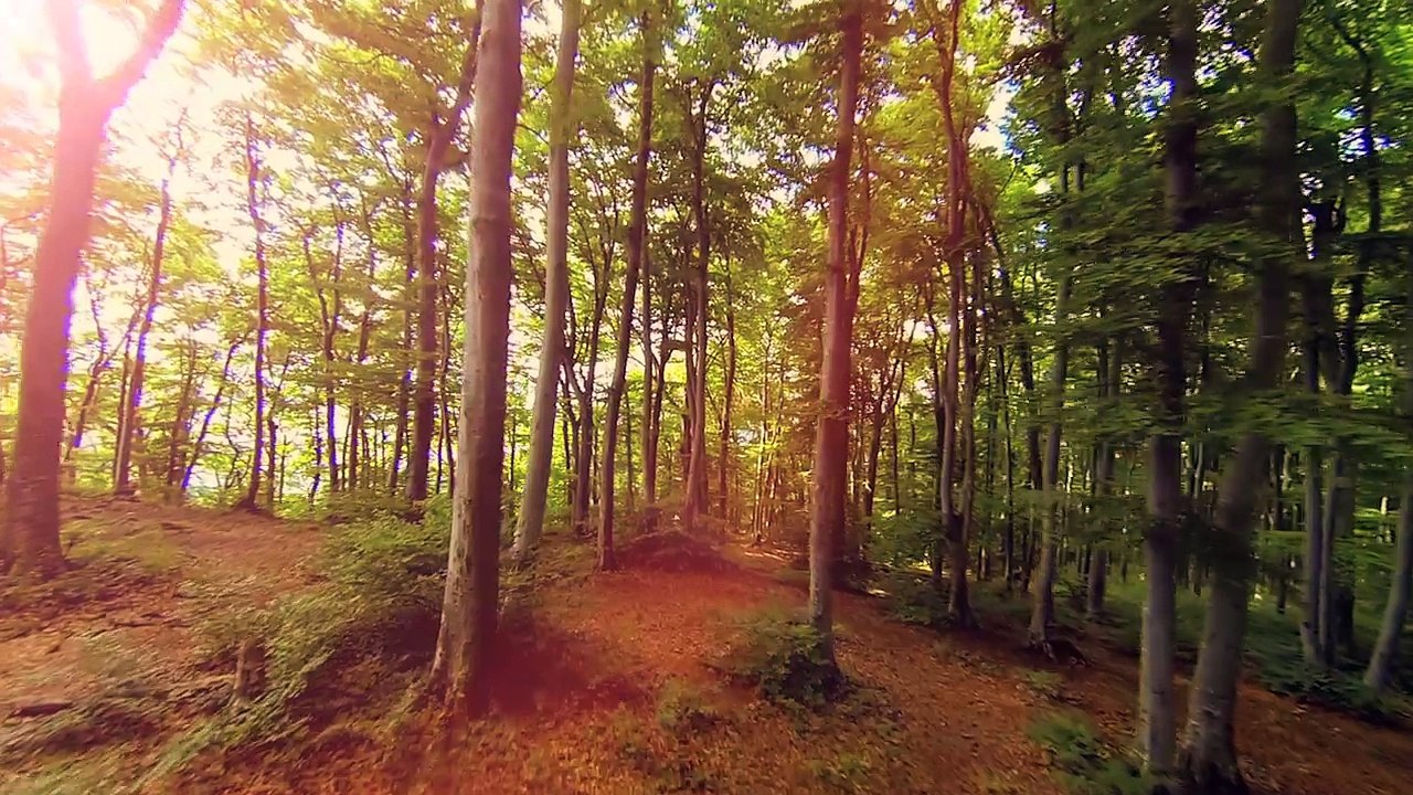 Forum Biodiversité et Économie, novembre 2016