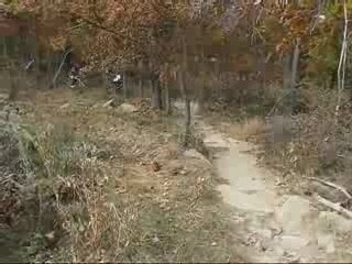 The Rodriguez at Diablo