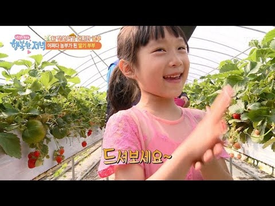 연매출 1억 5천만원의 놀라운 딸기 농부! [행복한 저녁] 23회 20170518