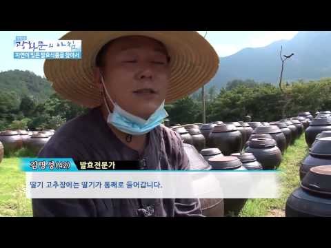 자연이 빚은 발효식품을 찾아서 [광화문의 아침] 51회 20150817