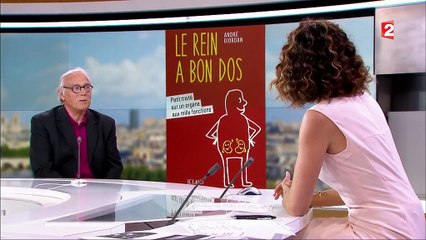 Santé : les clés du fonctionnement du rein