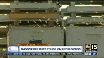Massive bee bust in California stings Laveen business