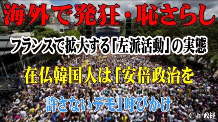 【フランス】で発狂！拡大する「左派活動」の実態 在仏韓国人は「安倍政治を許さないデモ」呼びかけ