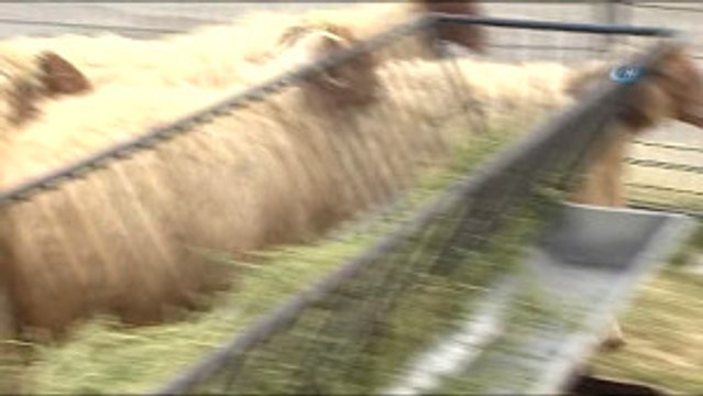 Gıda Tarım ve Hayvancılık Bakanı Faruk Çelik: Tarım Öyle Bir Sektör Ki, Her Şeyin Modası Geçer Ama...