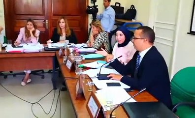 سامية عبّو تهاجم النهضة وتثير فوضى داخل لجنة التشريع العام تسببت في مشادات كلامية