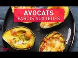 Avocats farcis aux oeufs | regal.fr