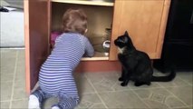 Cuando el gato encierra a tu bebé en un armario