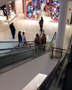 Este perro tiene pánico a las escaleras mecánicas