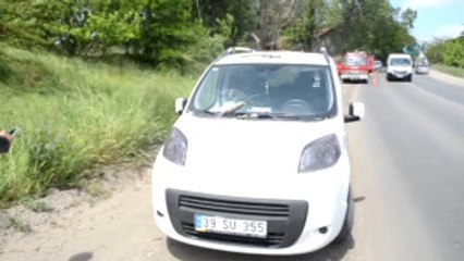 Seyir Halindeki Aracın Üzerine Ağaç Devrildi