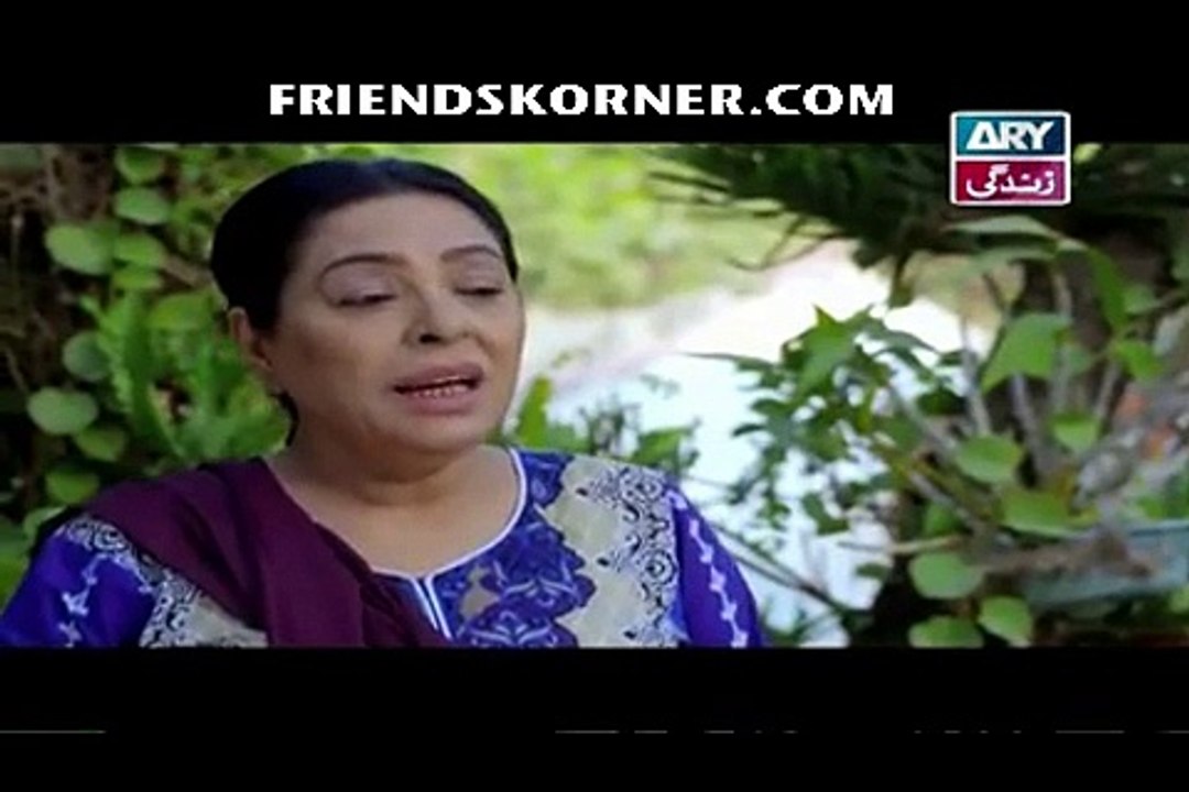 Haal-e-Dil Episode 147