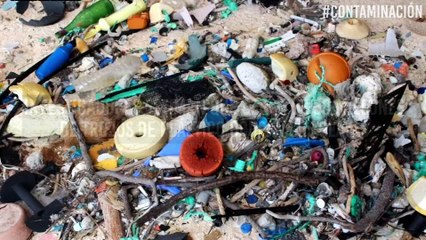 ¿Crees que botar plástico en la calle no es dañino? Lo que sucede en esta playa te hará cambiar de parecer
