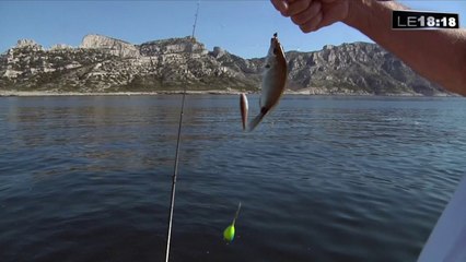 Les pêcheurs s'habituent à la nouvelle réglementation dans le parc des Calanques