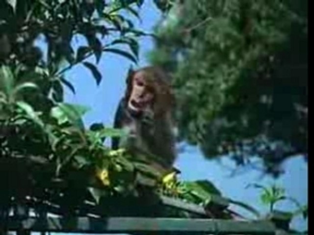 Dil Vil Pyar Vyar