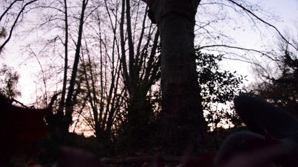 A l'aube de nos jours