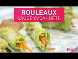 Rouleaux de légumes & sauce cacahuètes avec de Buyer | regal.fr