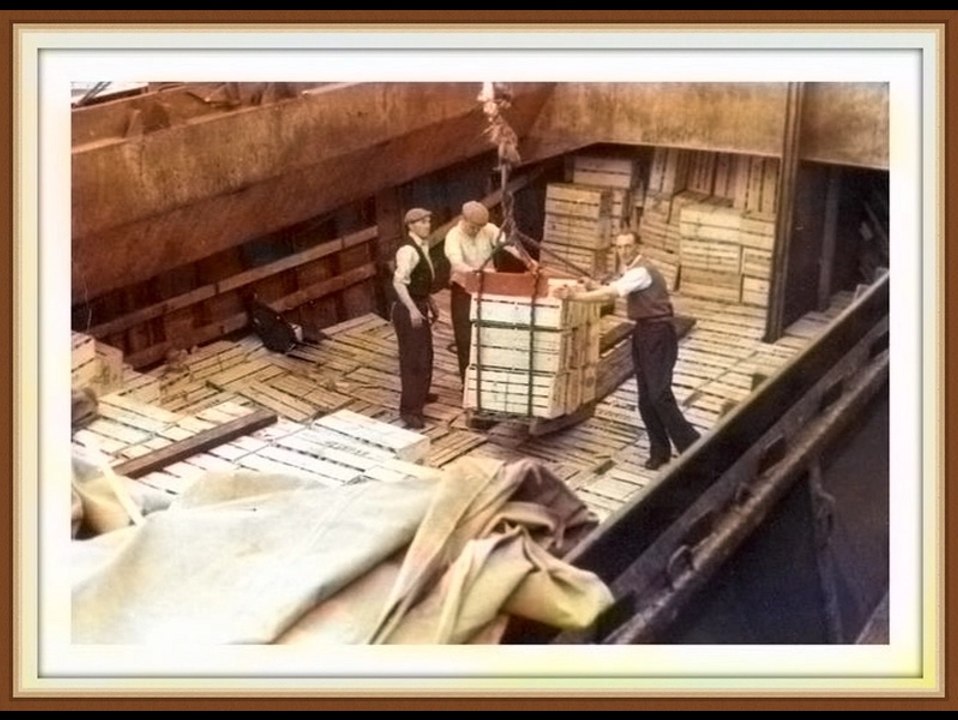DEEP SEA DOCKERS BELFAST