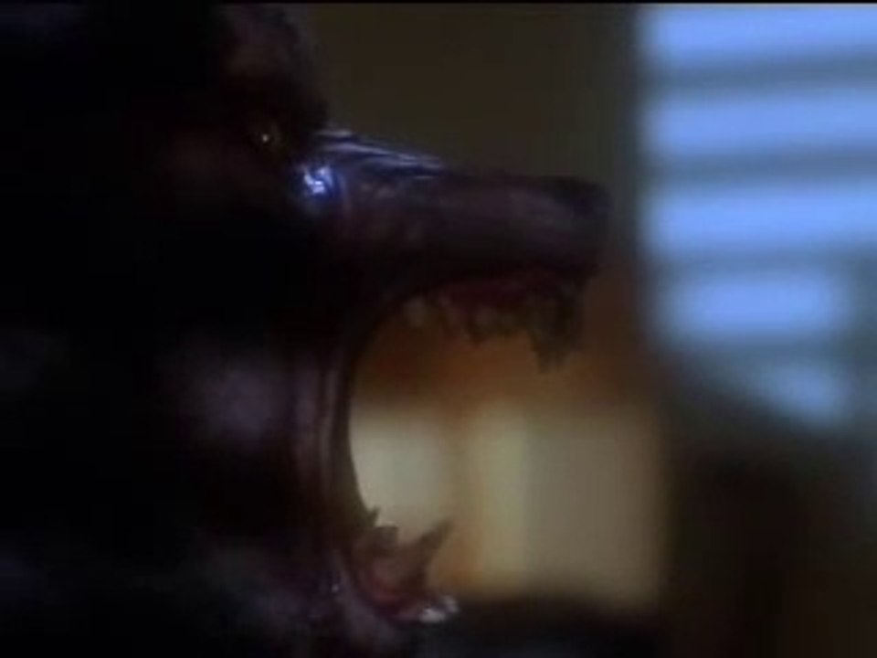 | / {{"Best Werewolf Transformation Ever"} _ -  [("Nojery Tyleft")] _ .