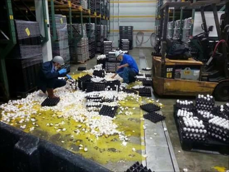 Eight pictures are not for the faint-hearted