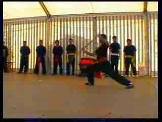 démonstration kung fu