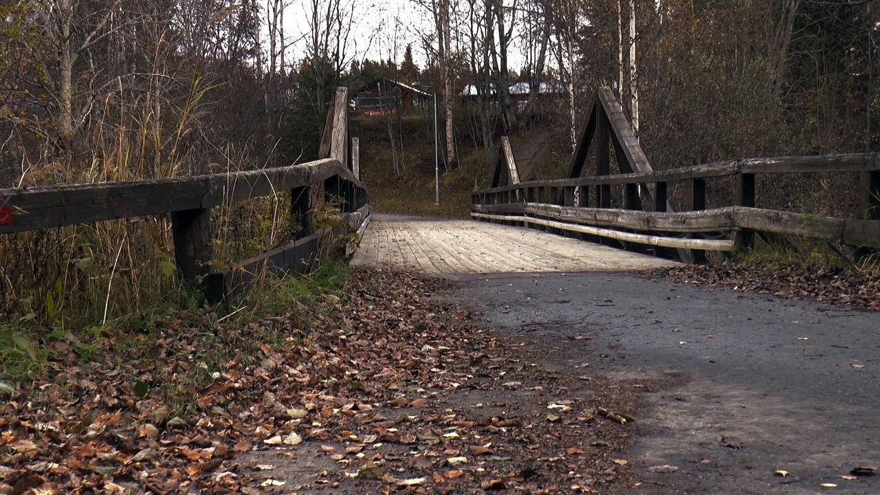 Old wood bridge