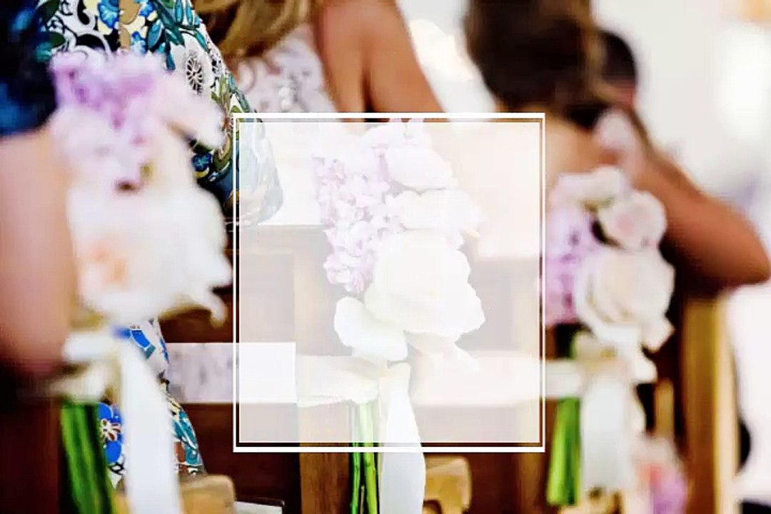 PRONOVIAS WEDDING DRESSES By Hctb.net