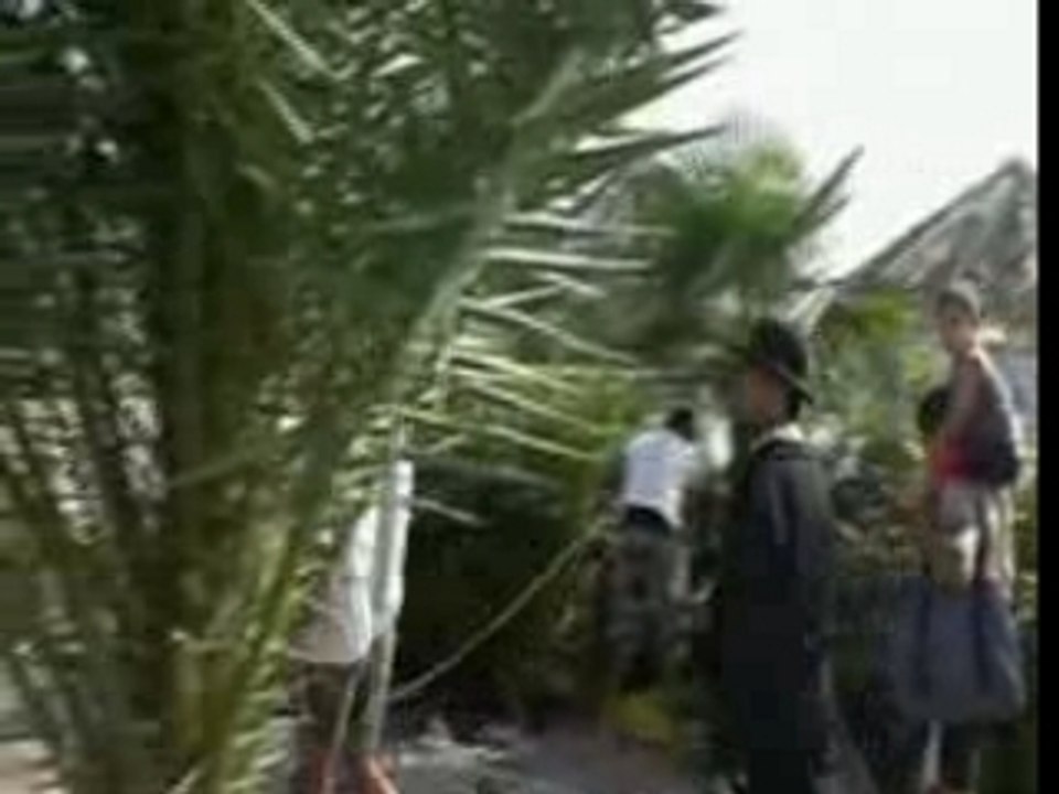 Best of des passages a Arinella bianca